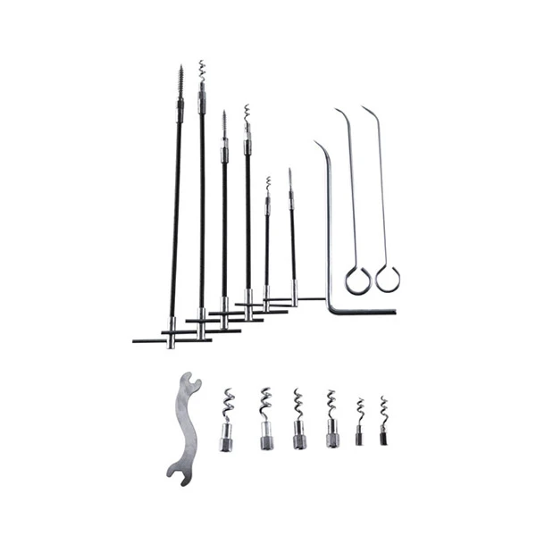 Packing extraction tools with flexible shafts and interchangeable corkscrew tips