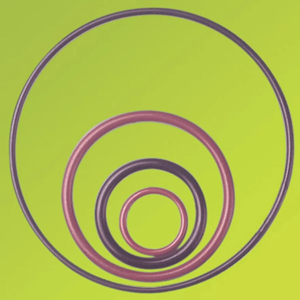 PTFE O-Rings & Sealing Rings — product form