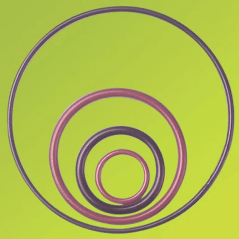PTFE O-Rings & Sealing Rings — product form